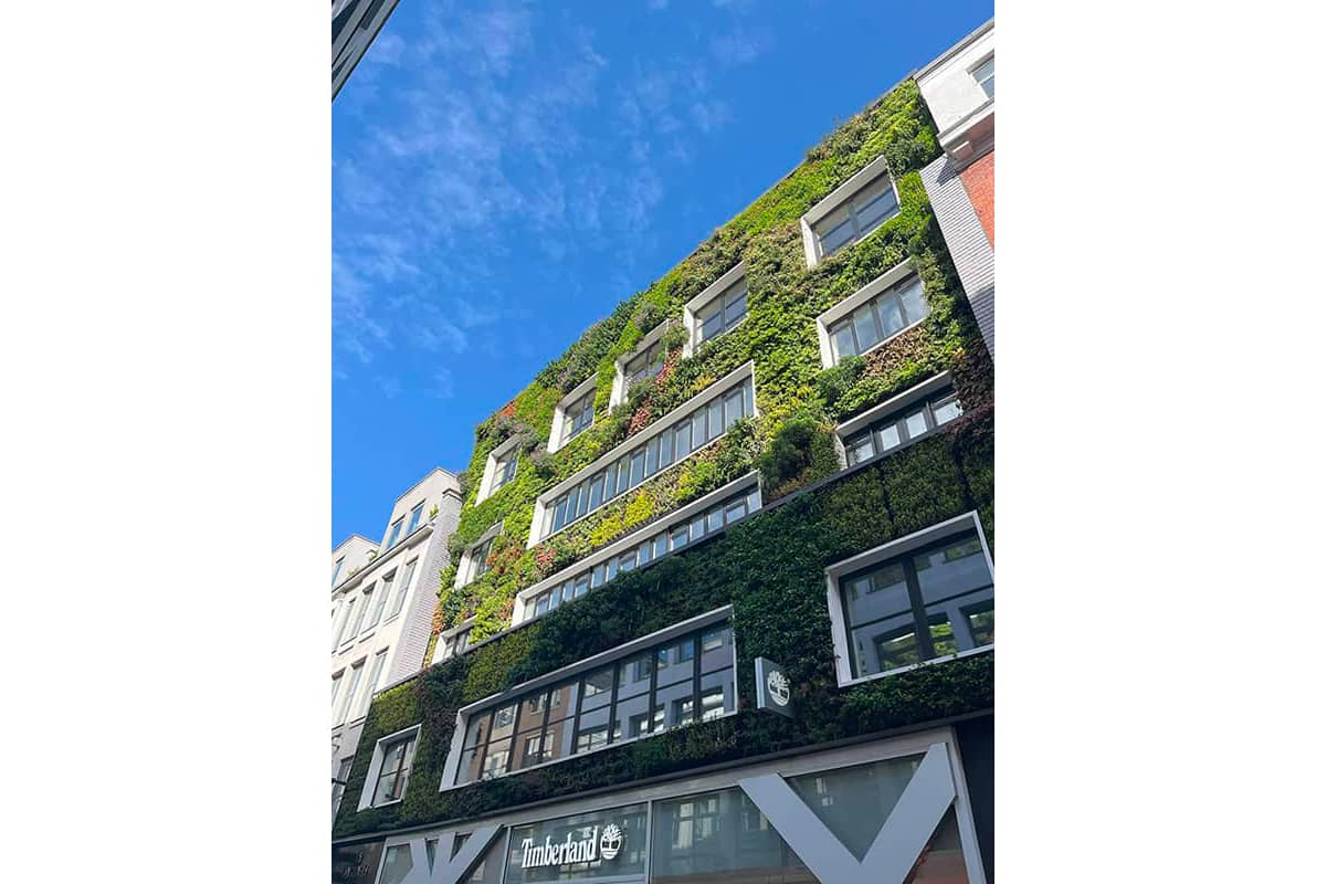 muro vegetal carnaby street