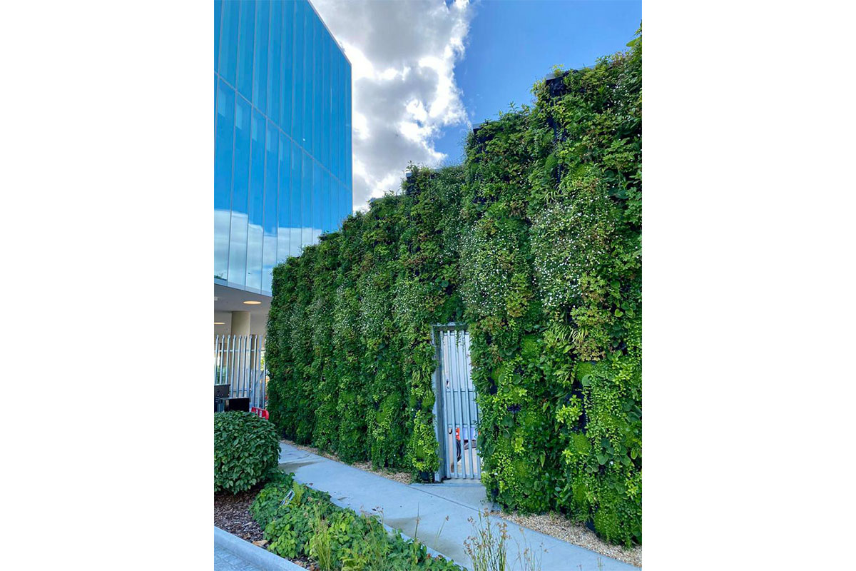 jardin vertical farmaceutica