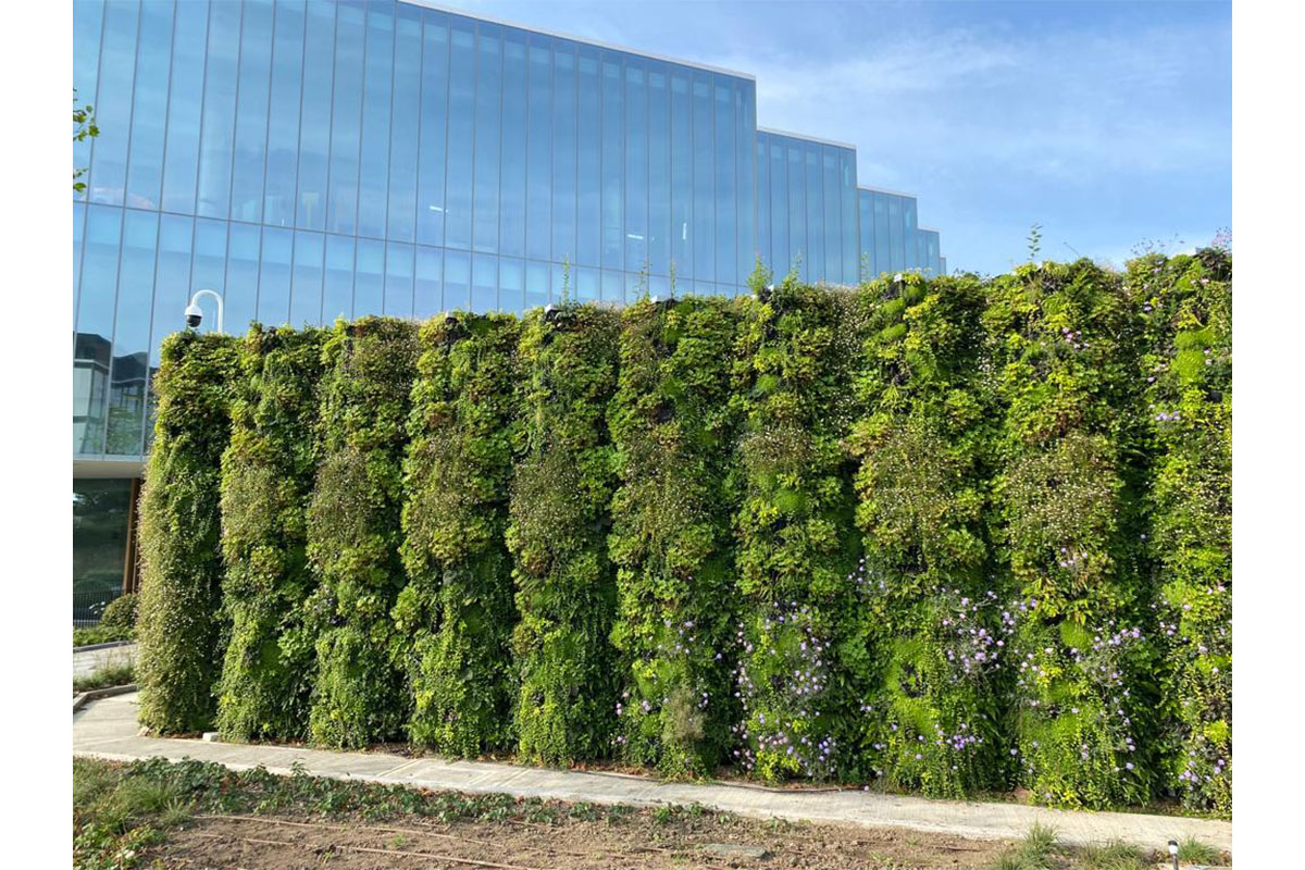 muro vegetal farmaceutica