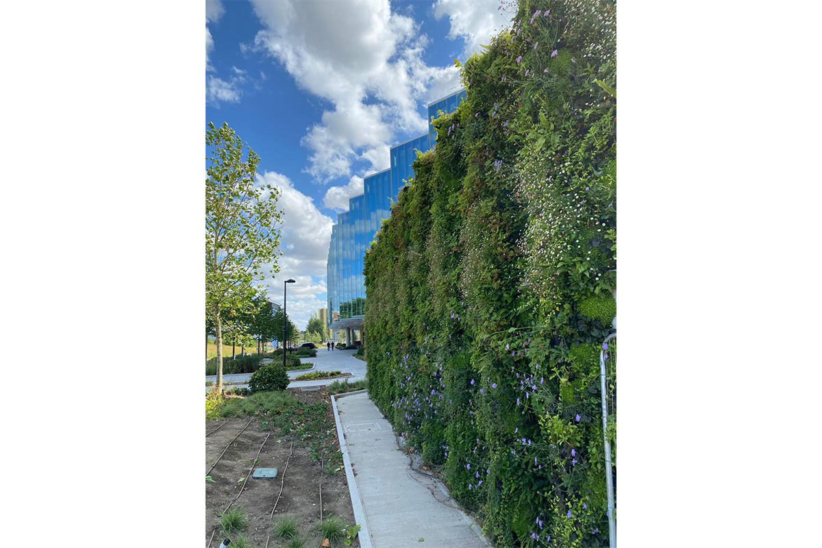 farmaceutica muro vegetal