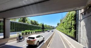 m30 muro vegetal