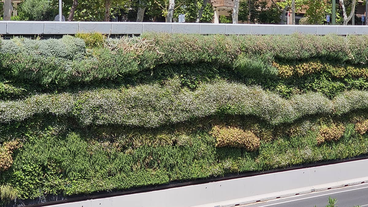 jardin vertical muro m30