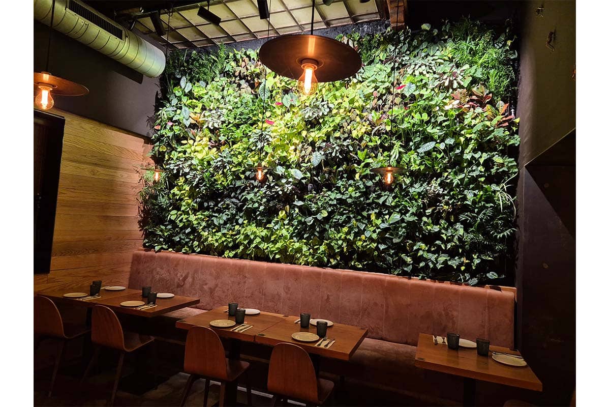 restaurante mamarracha vegetacion interior