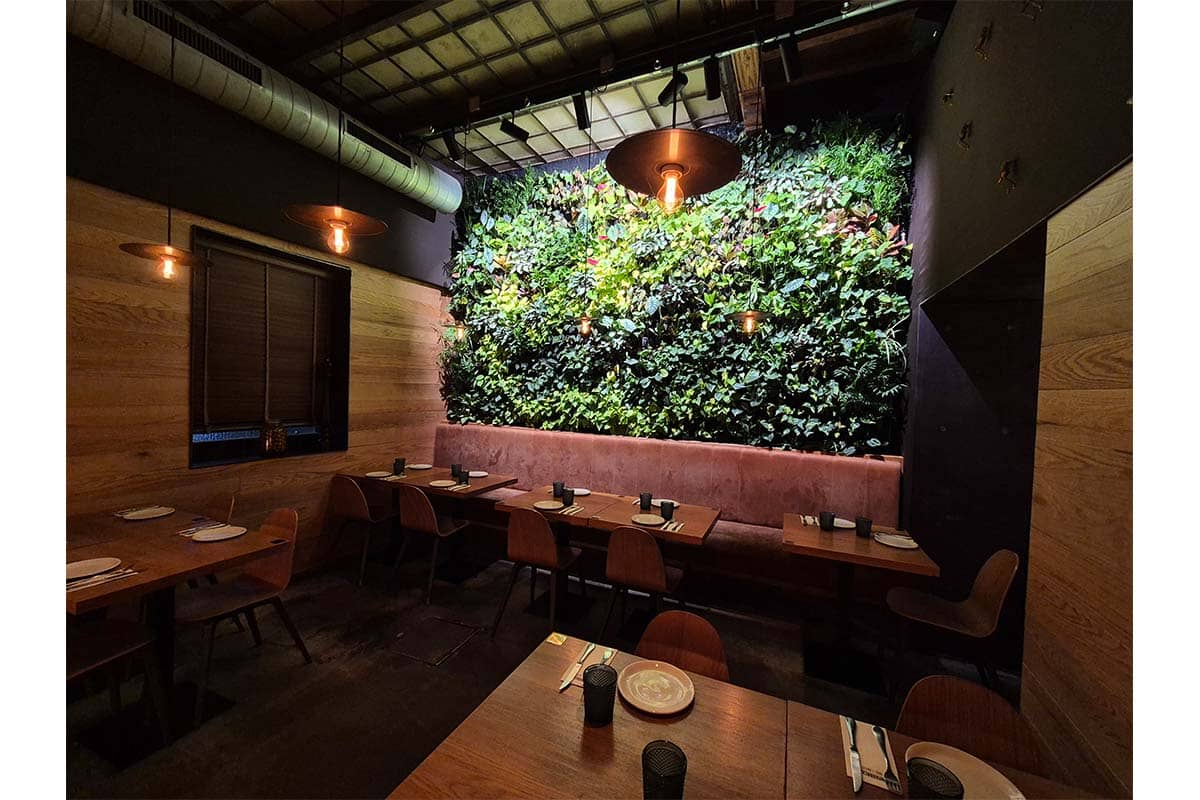 vegetacion interior restaurante mamarracha 