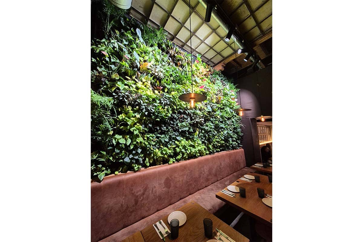 naturacion interior restaurante mamarracha