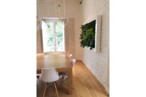 slimgreenwall vivienda privada