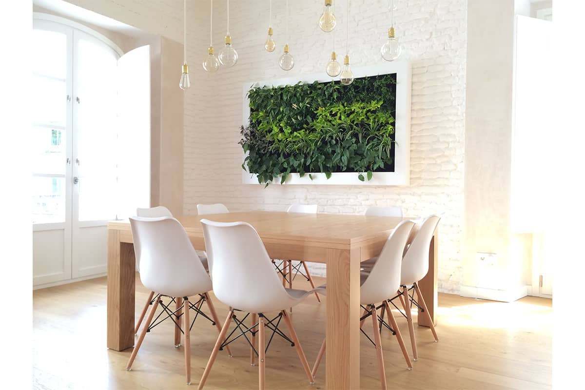 lienzo naturado vivienda