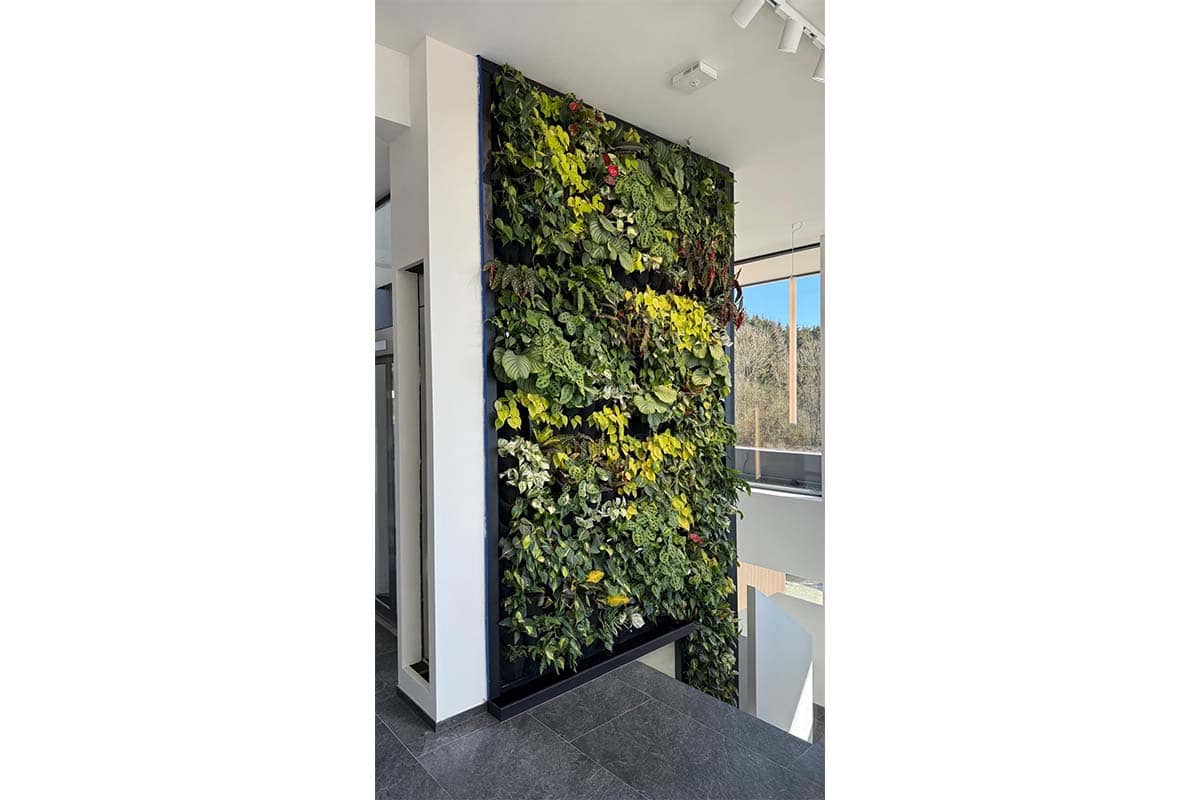 jardin vertical anatura hotel