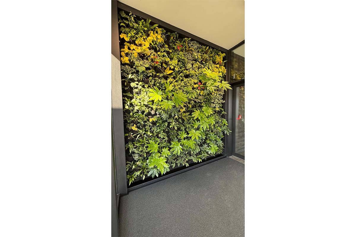 muro vegetal anatura hotel