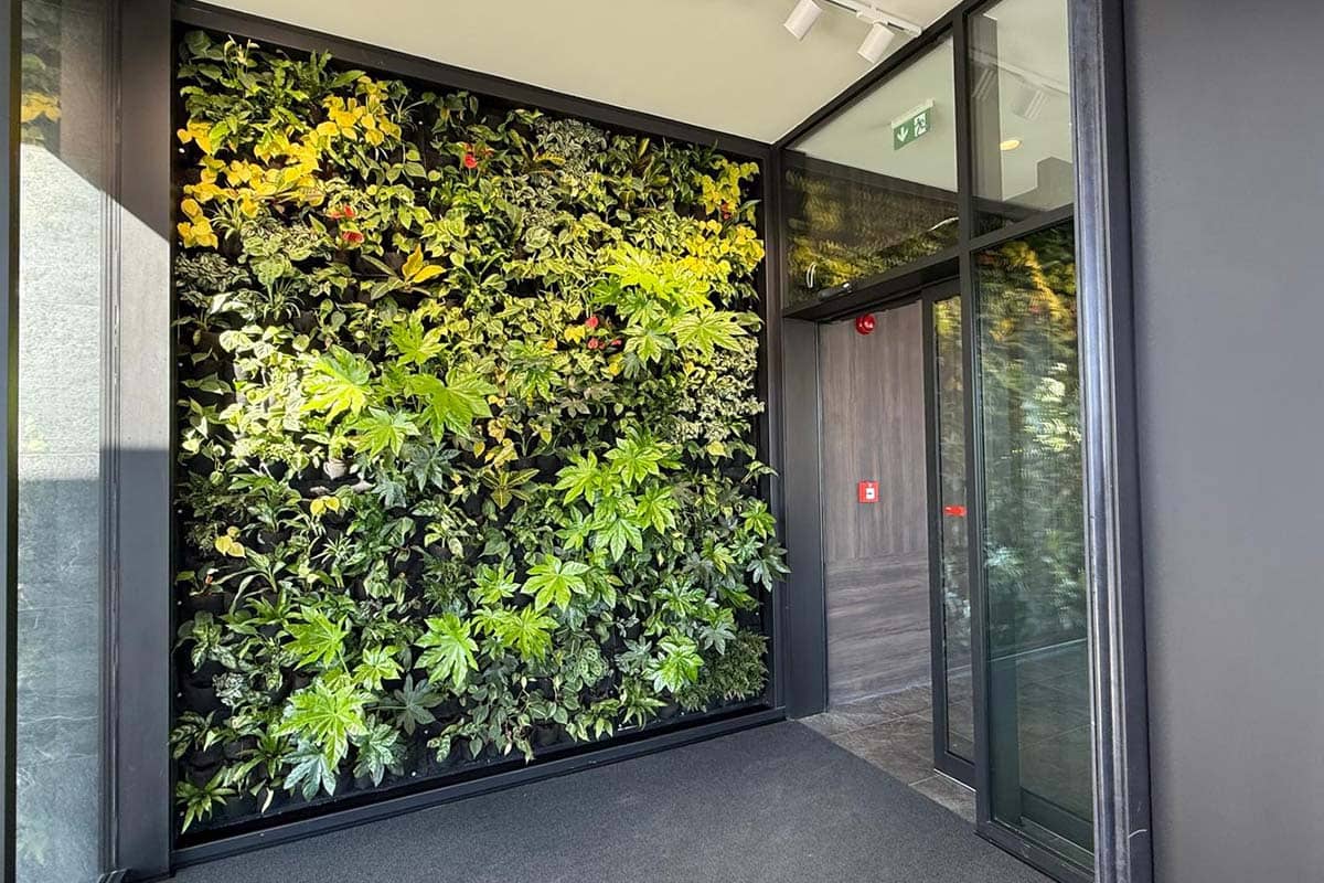 muro vegetal interior hotel anatura