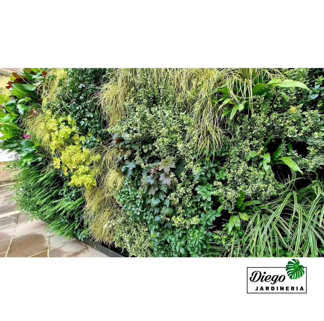 muro vegetal teatro concha espina