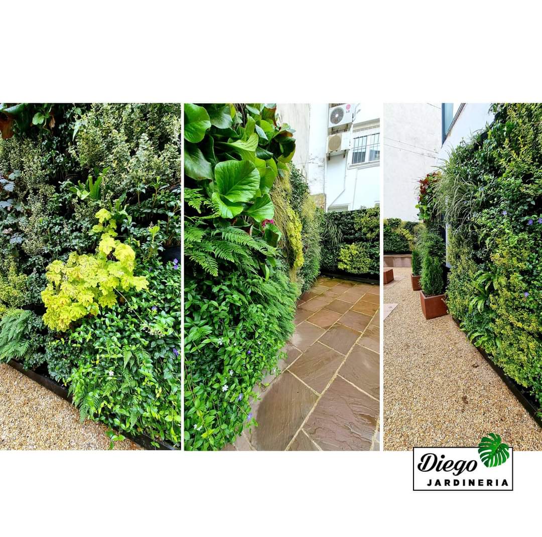 teatro concha espina muro vegetal