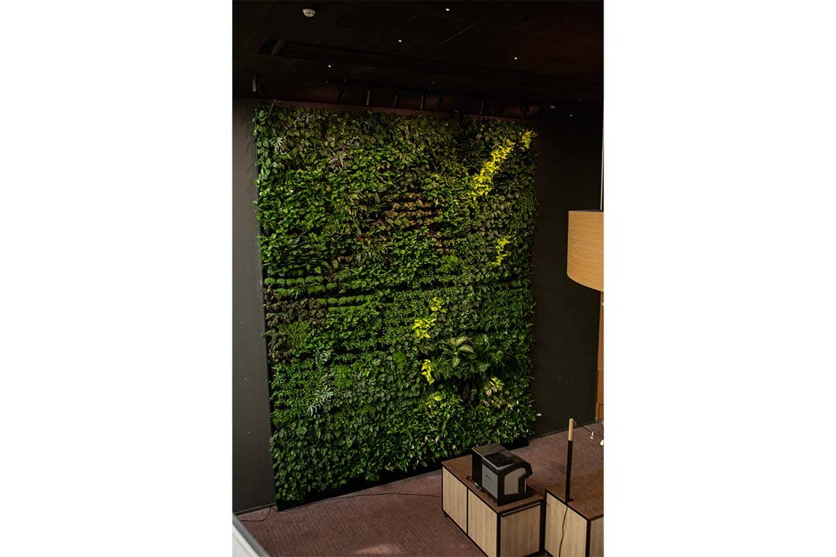 jv interior centro cultural ede