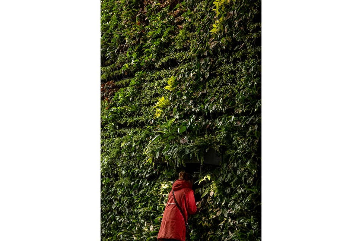 centro de arte y cultura ede jardin vertical