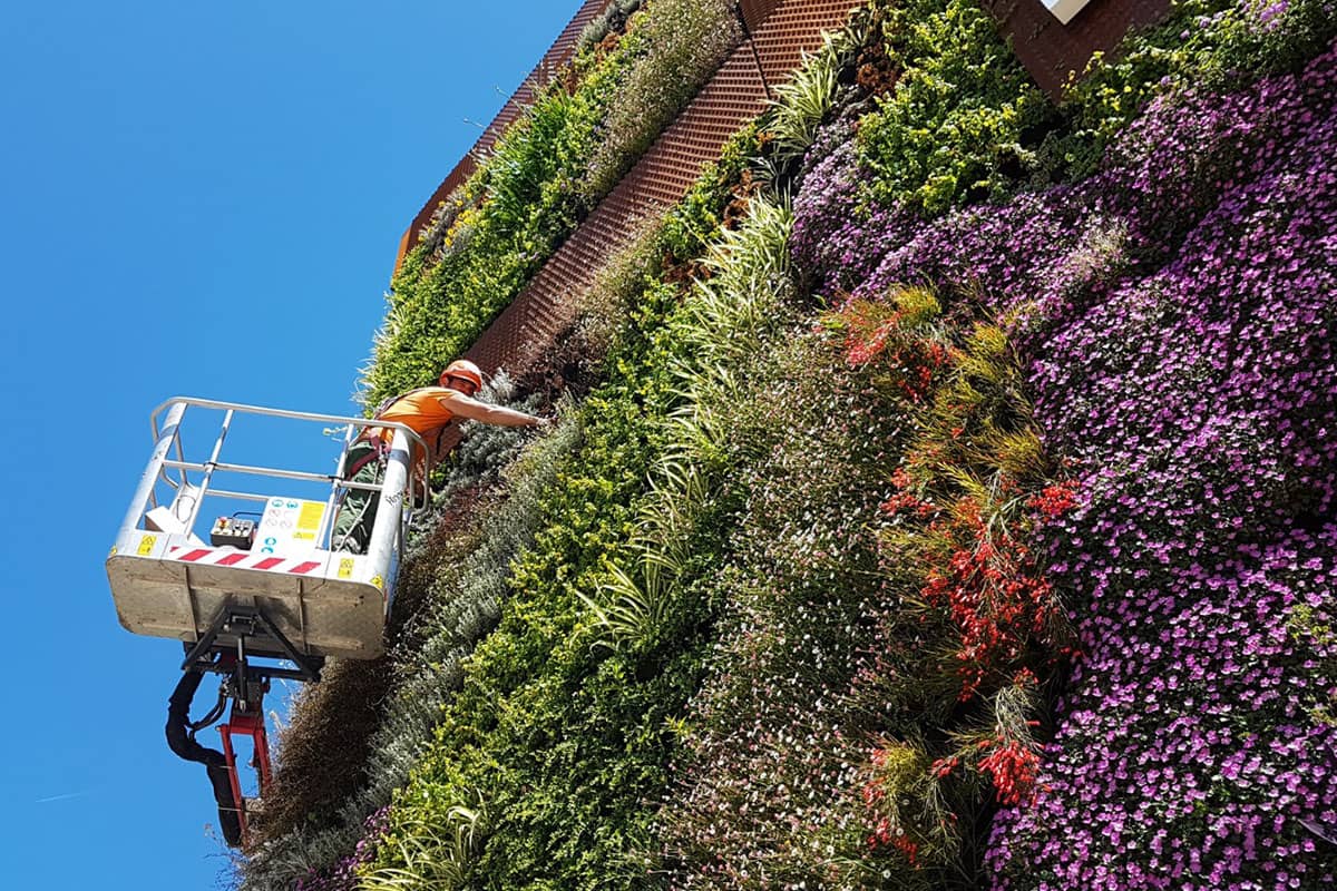 centro comercial malaga jardin vertical