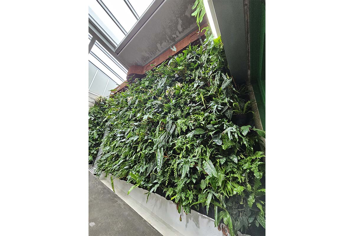 jardin vertical zoo zurich