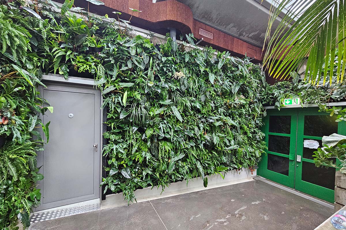 zoo zurich muro vegetal