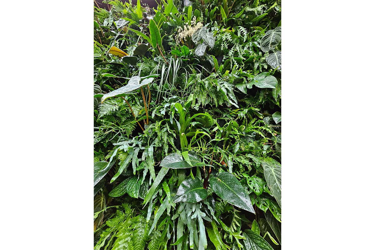 jardin vertical interior zoo zurich