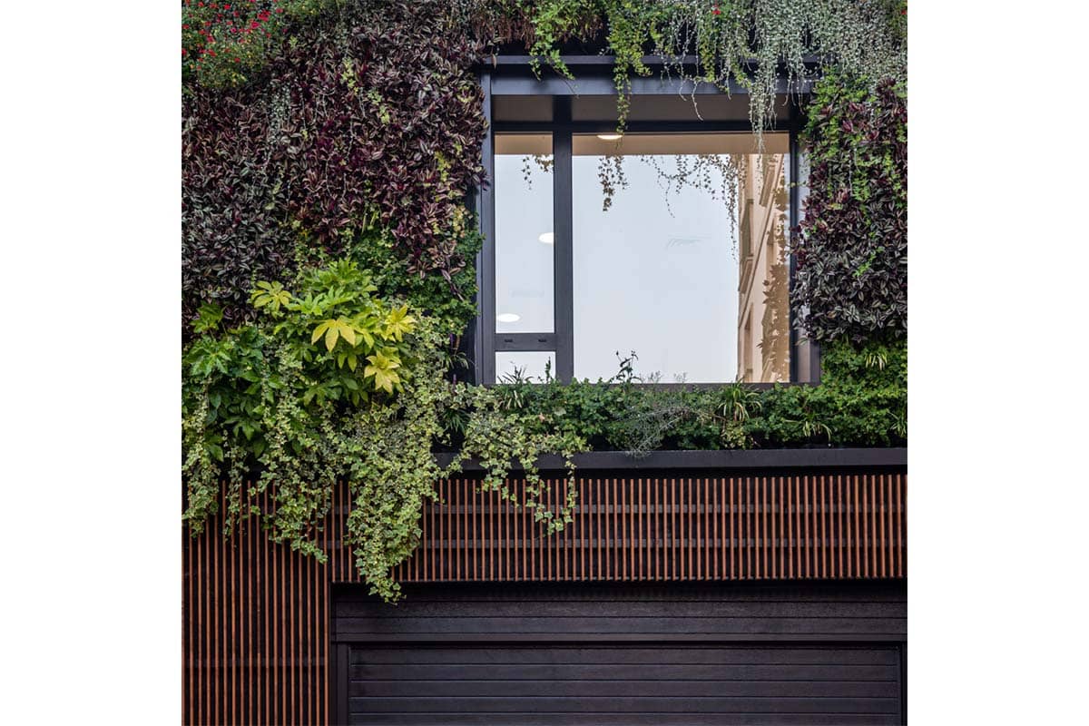 concello moaña jardin vertical