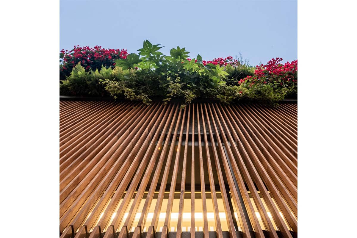 jardin vertical concello moaña