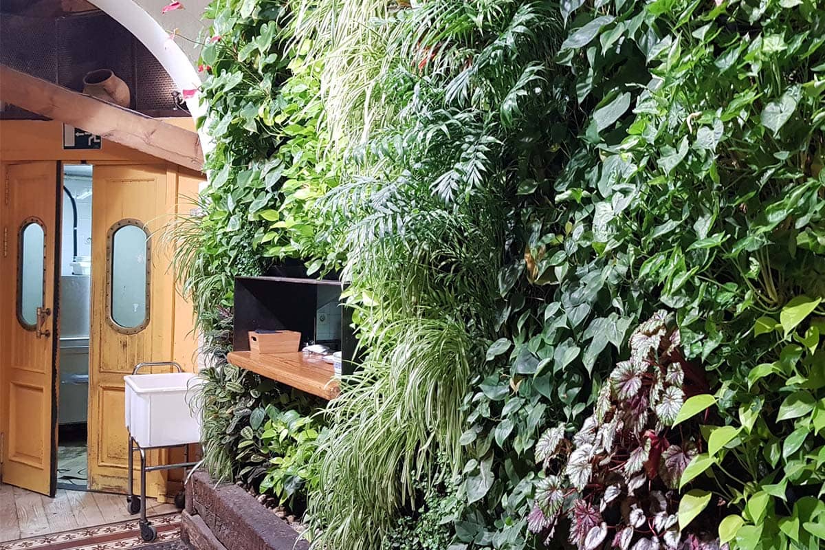 jardin vertical bar pelayo