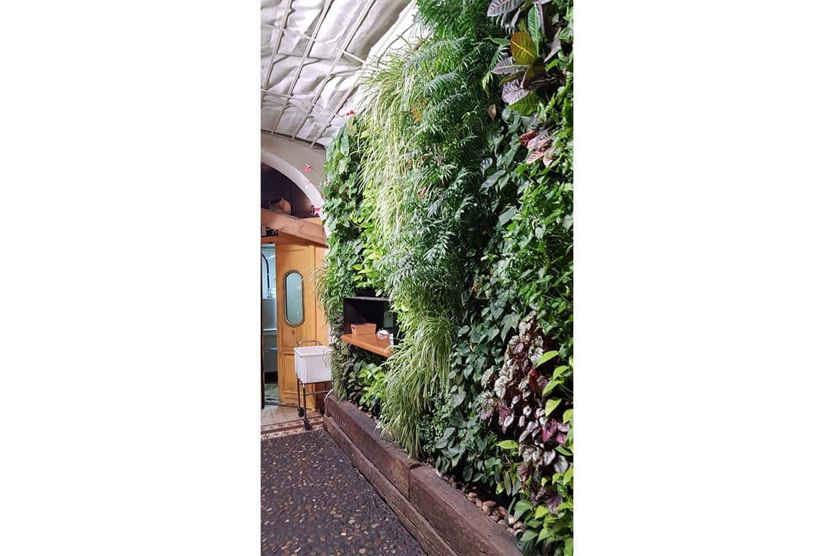 muro vegetal bar pelayo 