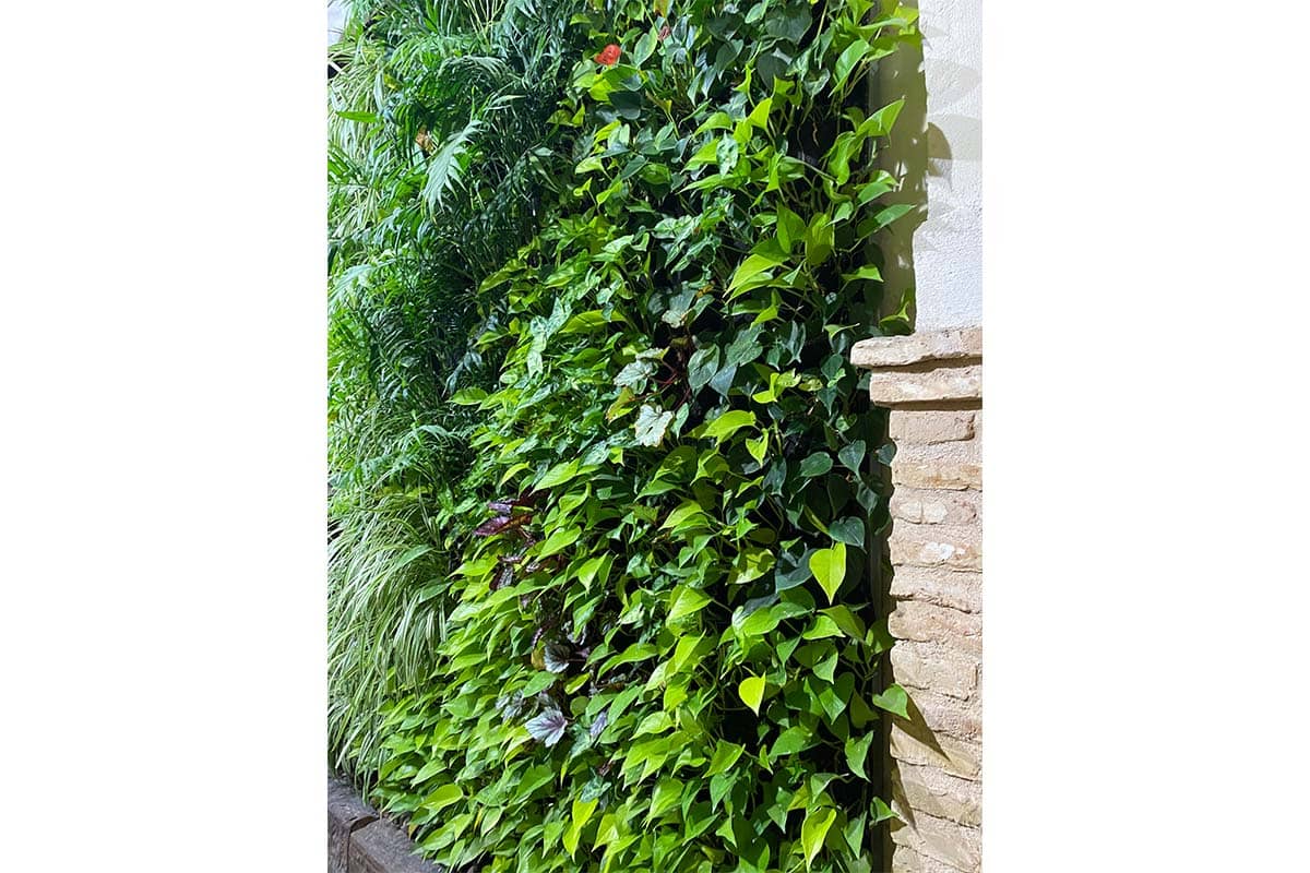 jardin verical interior bar pelayo