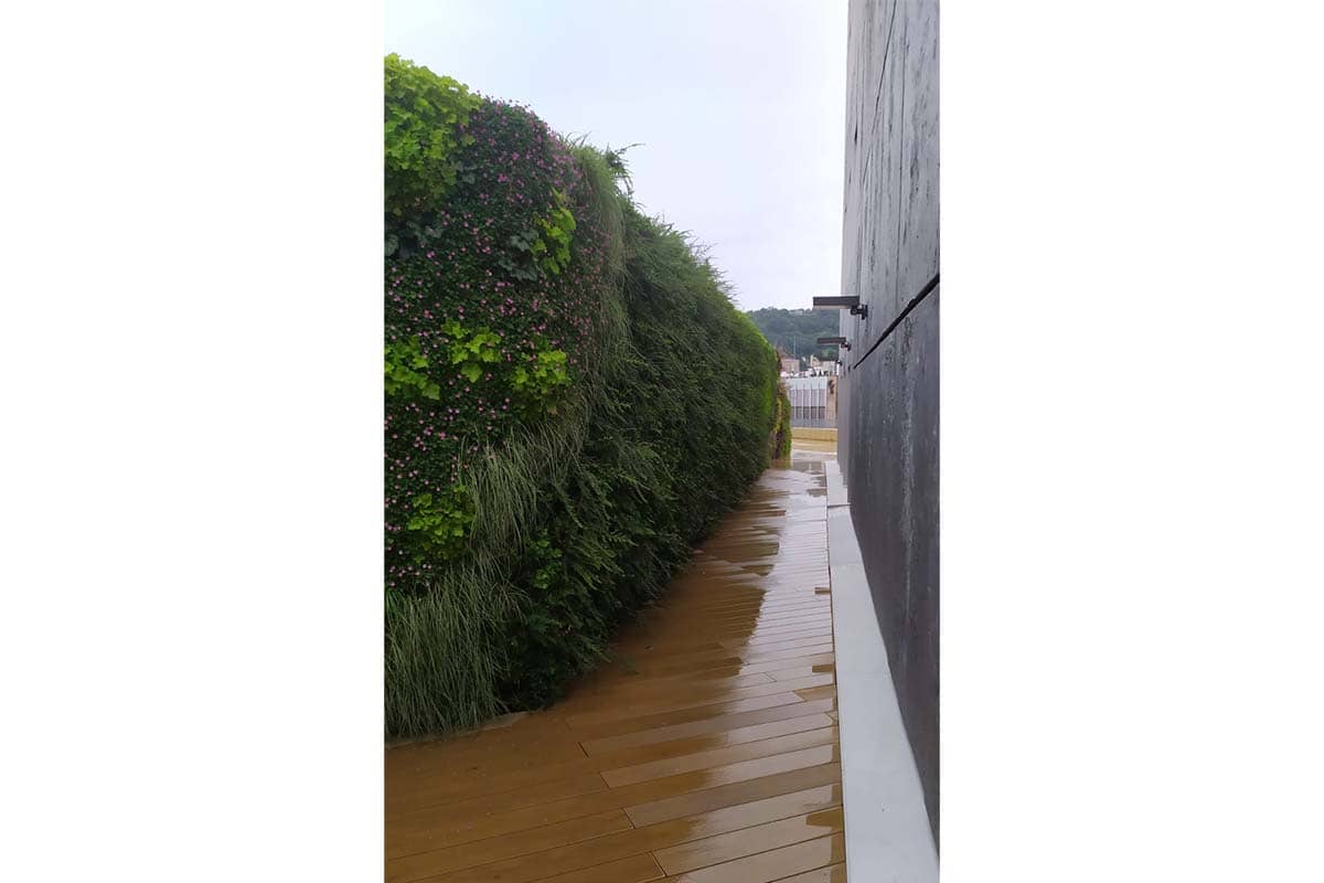 cubierta bbva jardin vertical 