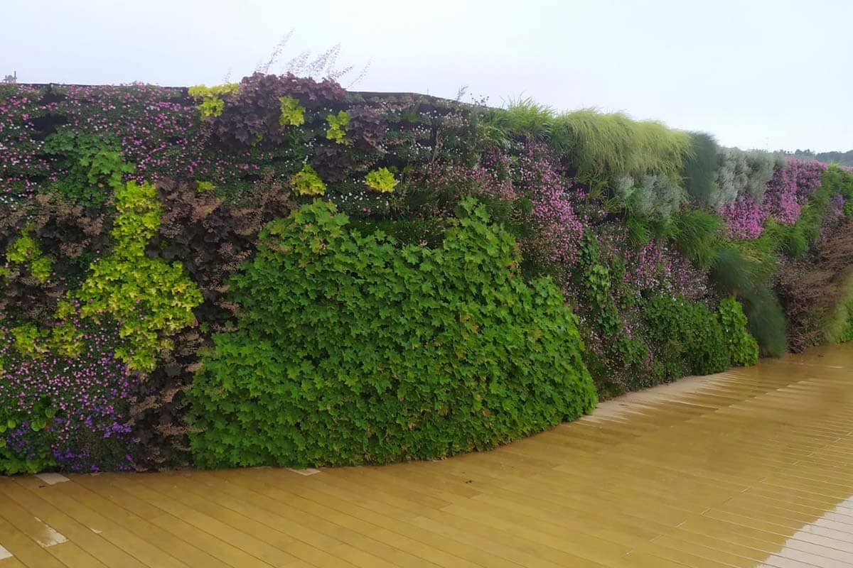 cubierta bbva muro vegetal