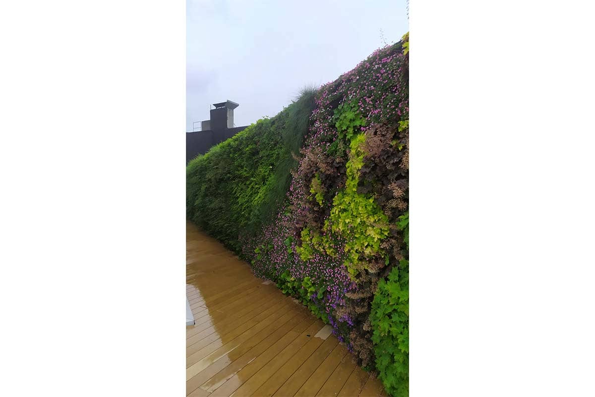 muro vegetal cubierta bbva bilbao