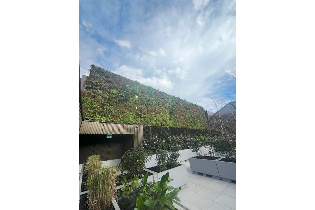 broadwick street jardin vertical