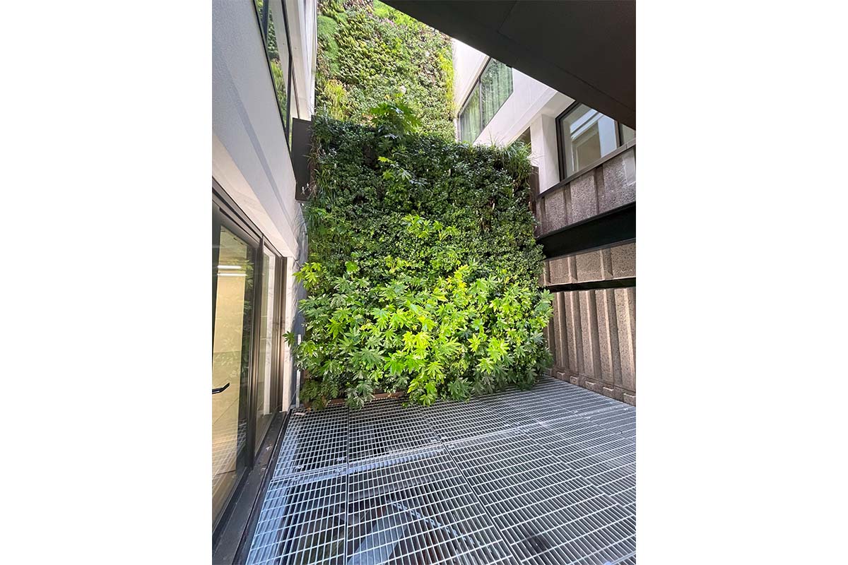 muro vegetal broadwick street