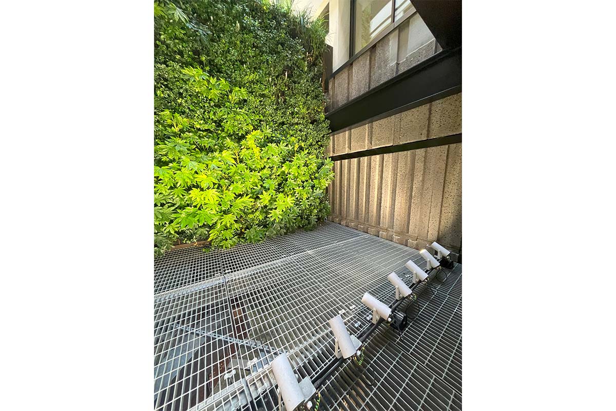 broadwick street muro vegetal