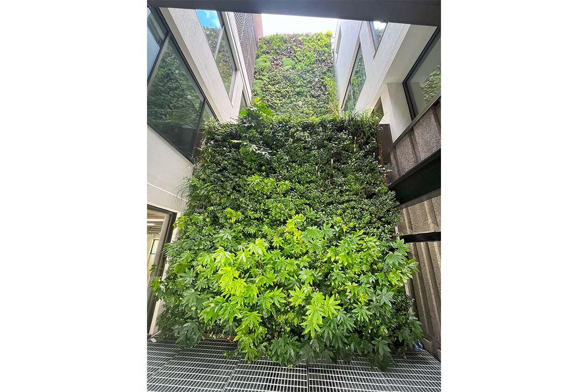 broadwick street pared vegetal