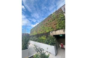 pared vegetal broadwick street