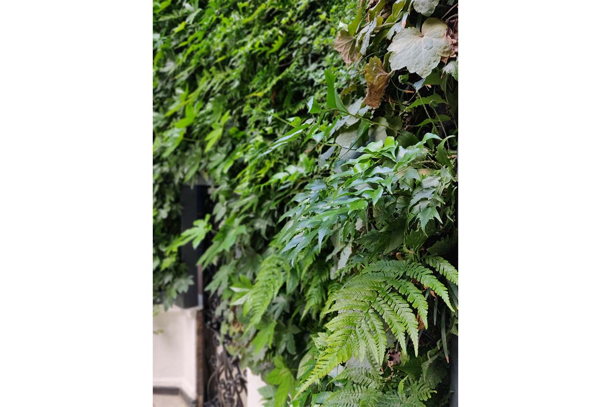 jardin vertical cavalry and guards club 