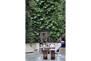cavalry and guards club muro vegetal