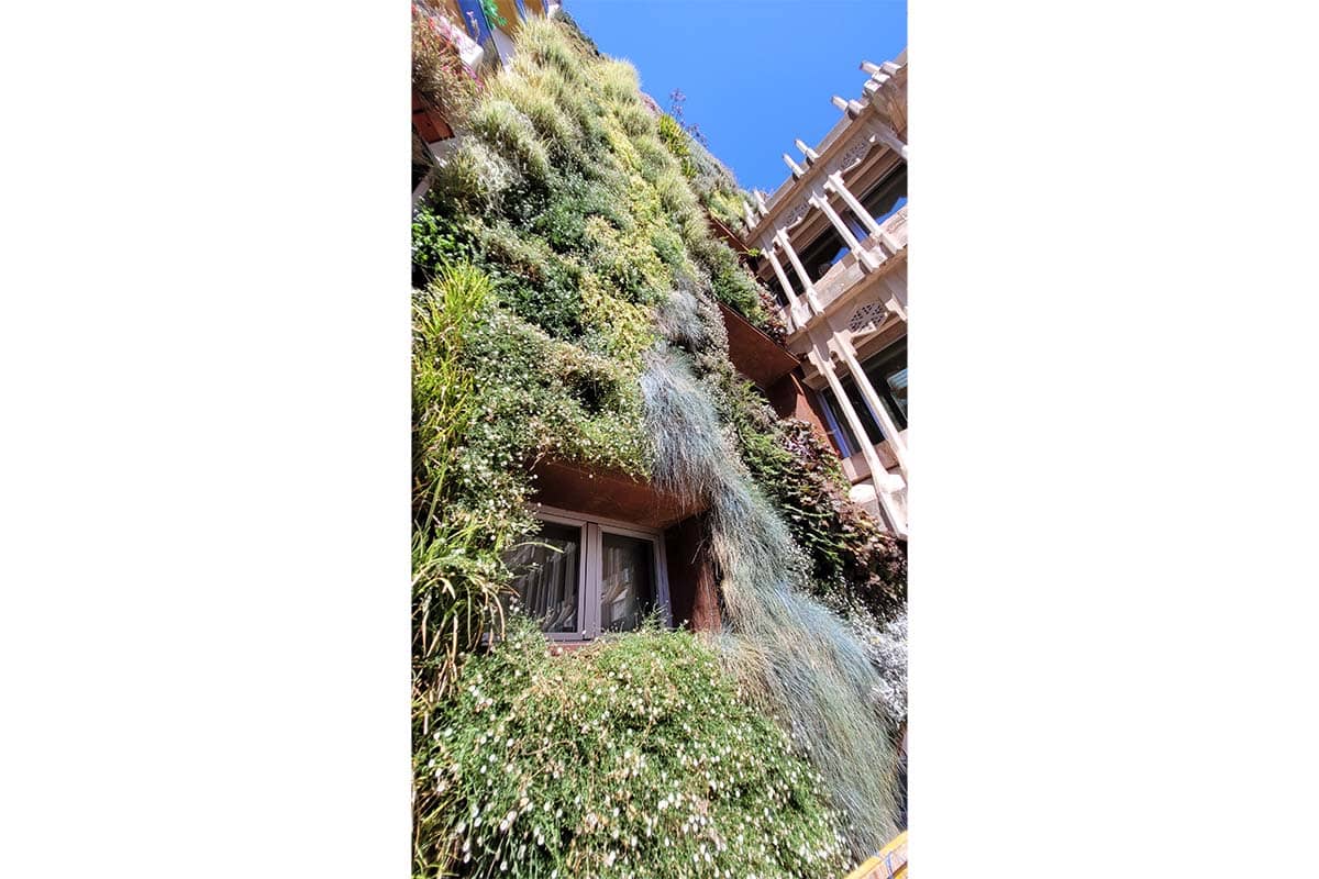 ayto ciudad real fachada vegetal