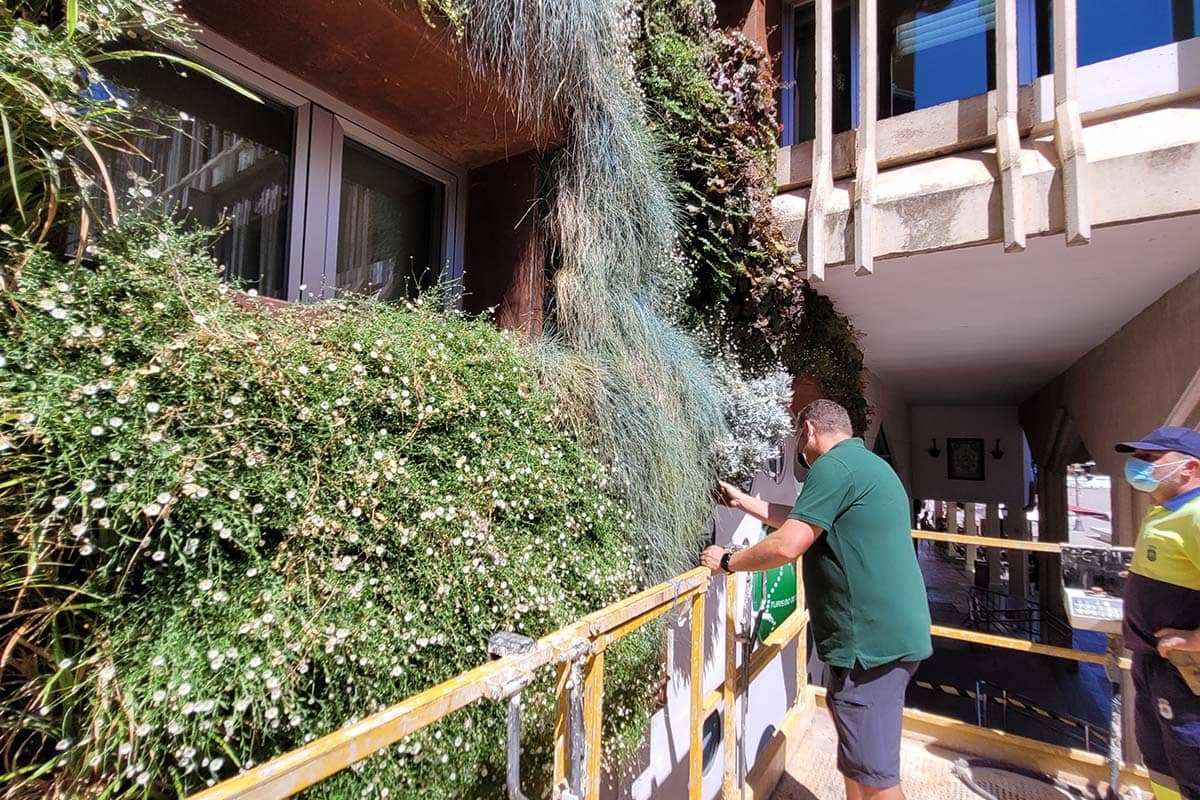 muro vegetal ayto ciudad real 