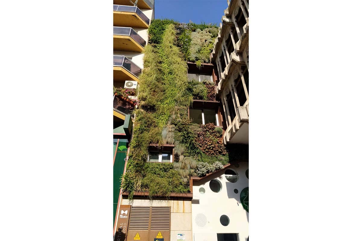 fachada vegetal ayto ciudad real 