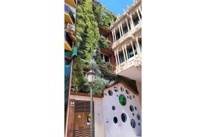 jardin vertical ayto ciudad real