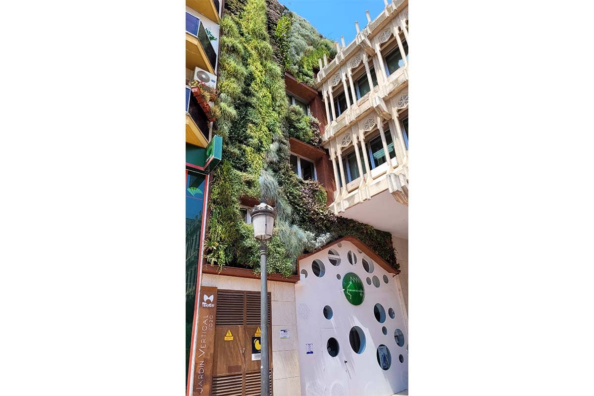 jardin vertical ayto ciudad real