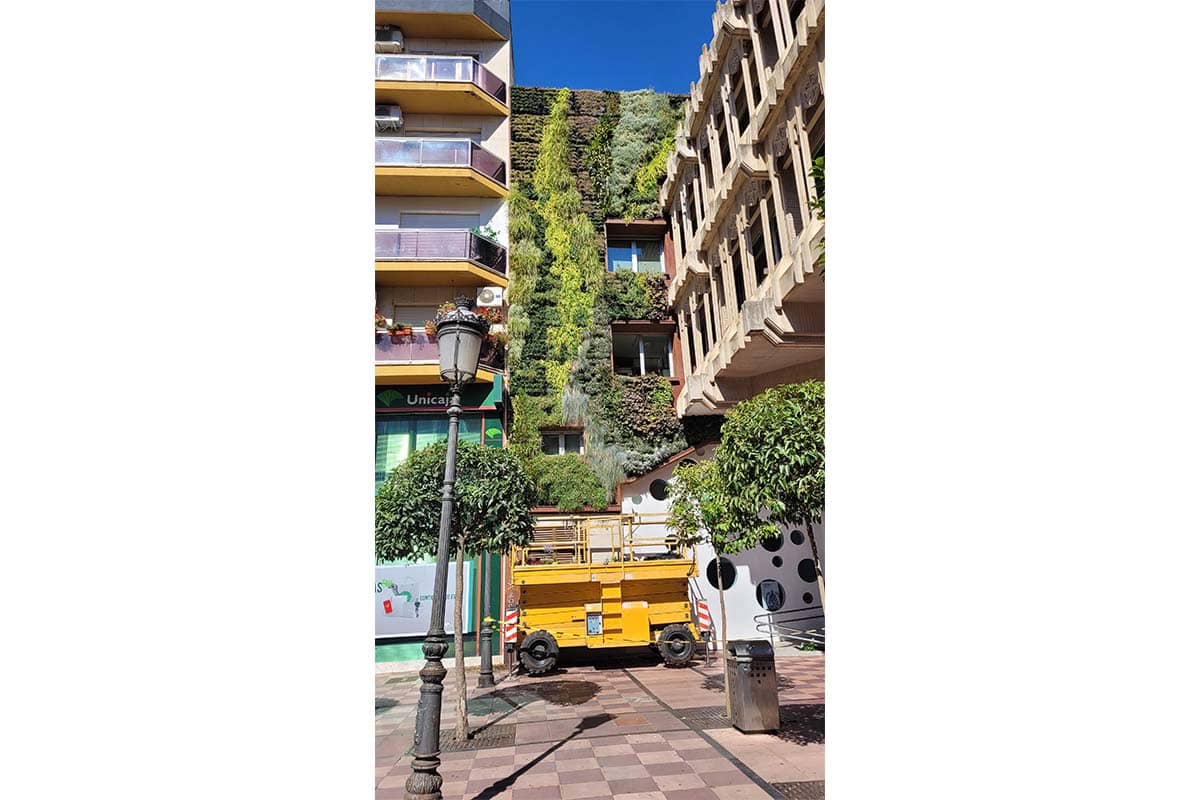 ayto ciudad real jardin vertical 