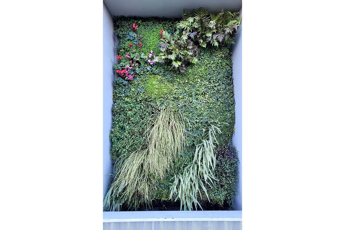 COIAA sevilla muro vegetal