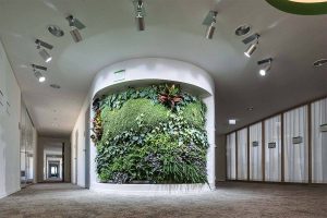 jardin vertical oficina dgnb