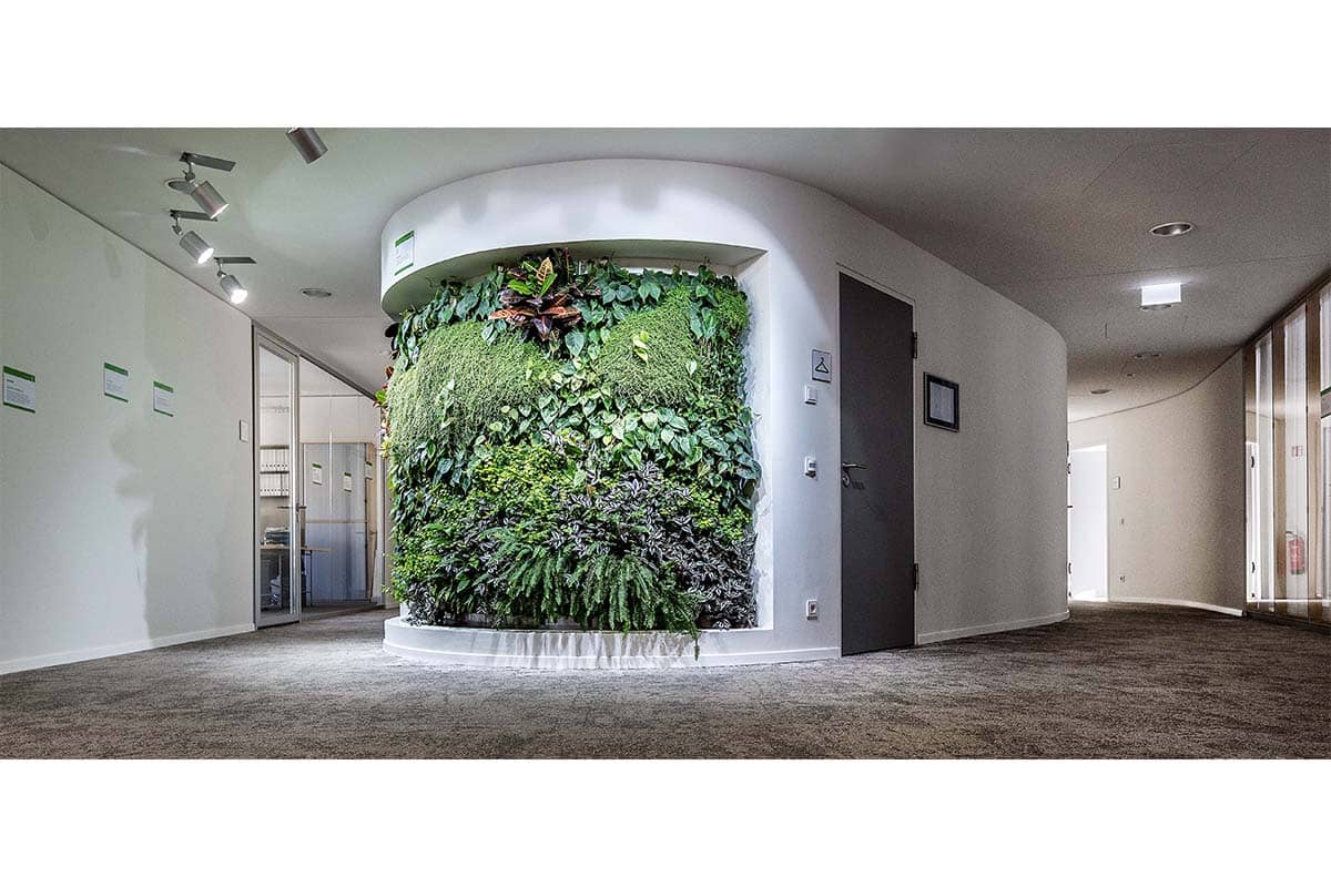 oficina dgnb jardin vertical 