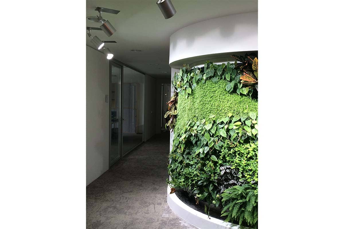 oficina dgnb muro vegetal