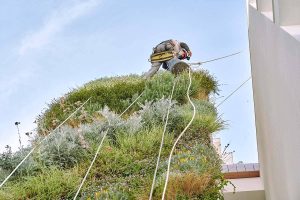 jardin vertical exterior domus vivendi