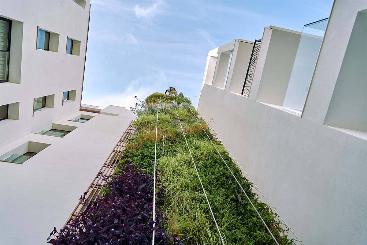 domus vivendi jardin vertical exterior 