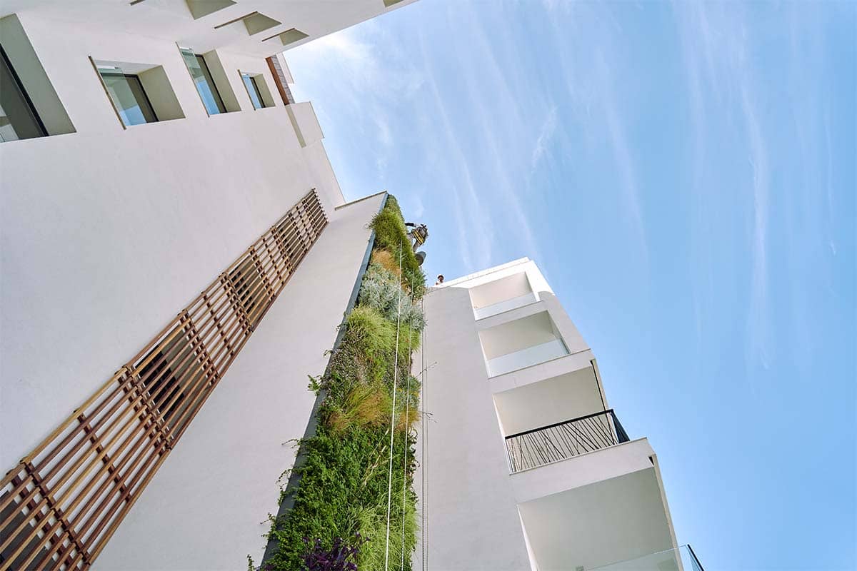 domus vivendi muro vegetal exterior 